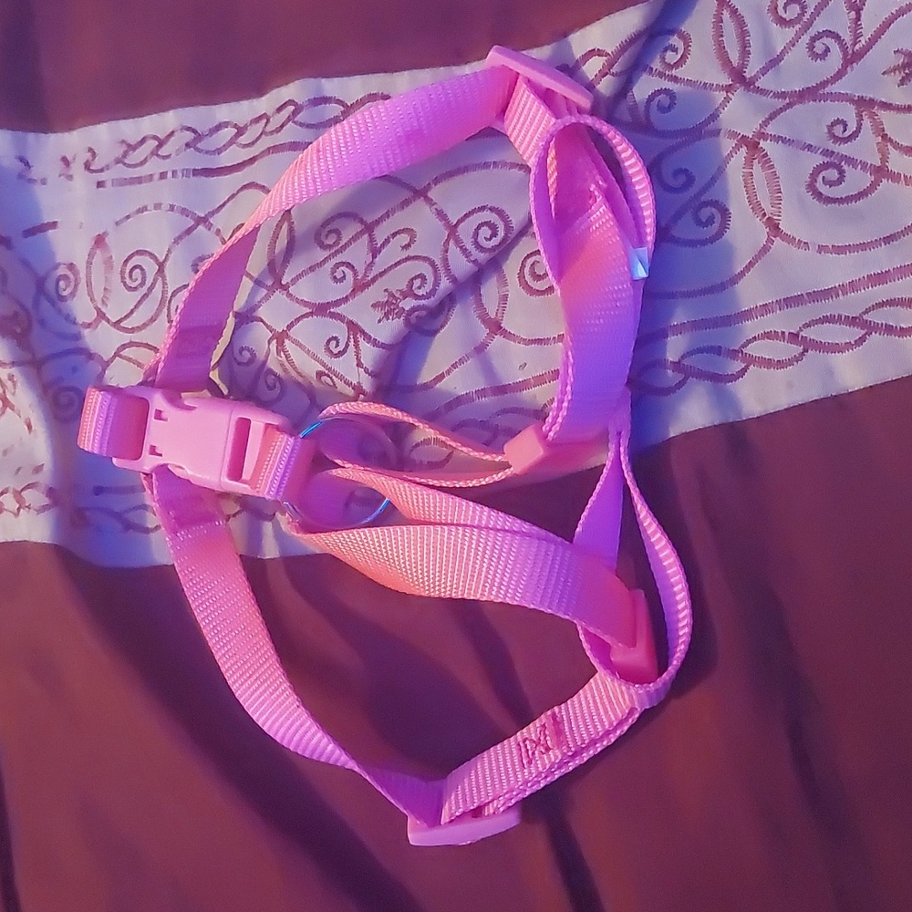 Small Dog Harness